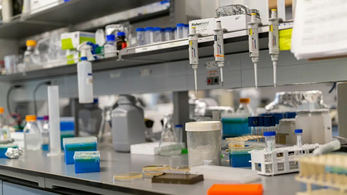 A laboratory bench lined with pipettes, reagent bottles and sample racks.